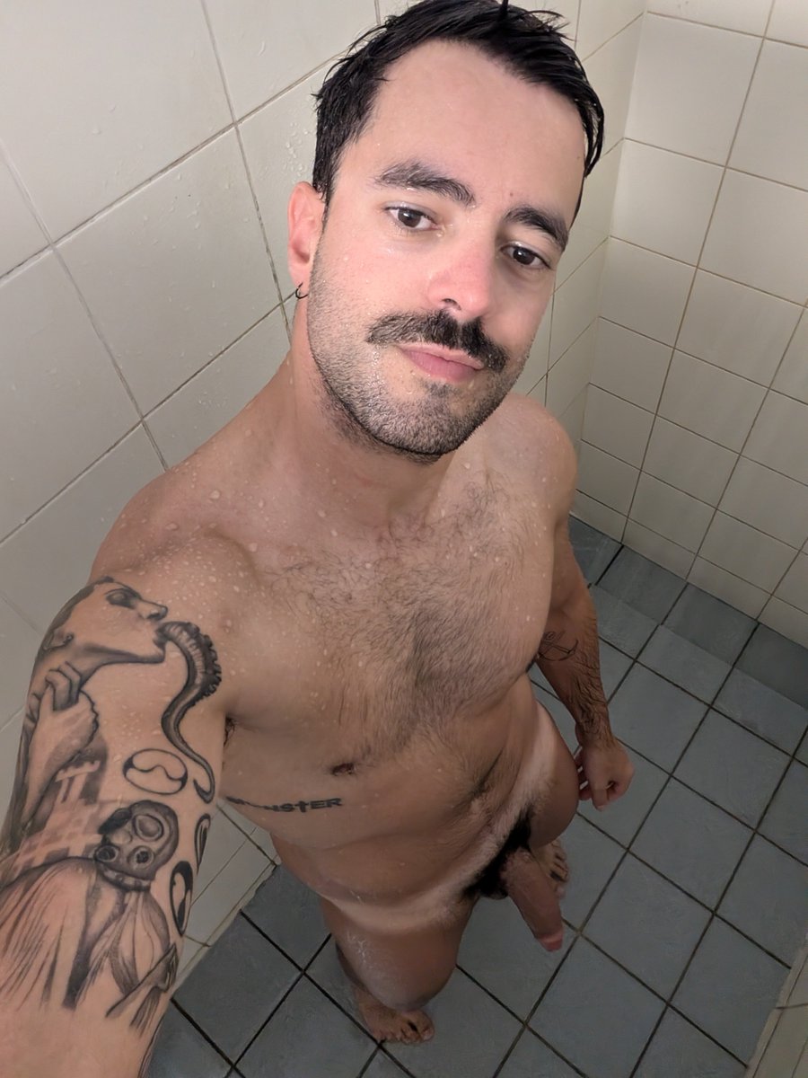 THE MⱯLTESE STⱯLLION tweet media