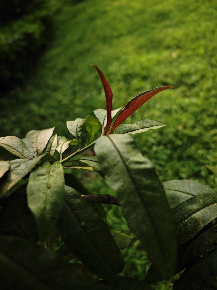 dunn76dy tweet media