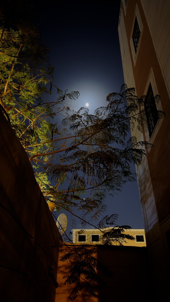 هتّان tweet media