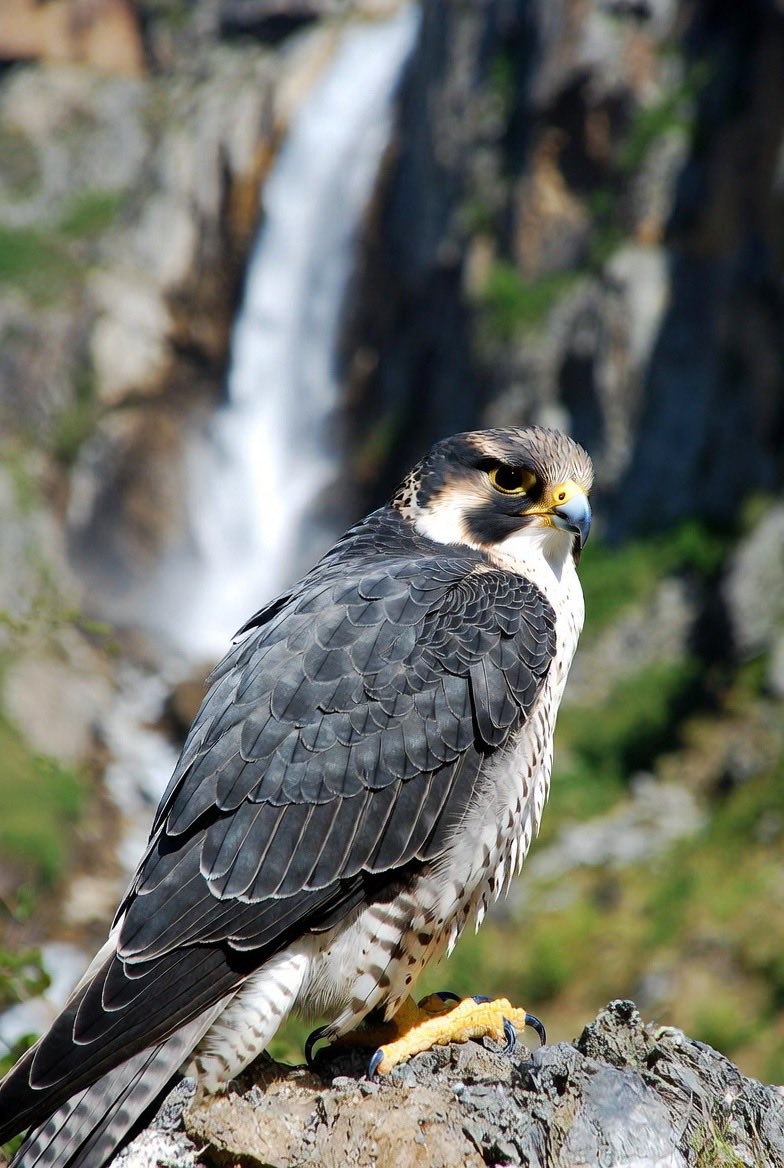 اسلام میں والدین کا اندازِ تربیت: رحم اور حکمت، نہ کہ غصہ

اسلام میں کوئی انسان ہمیشہ درست نہیں ہوتا۔ کامل اور بے خطا صرف اللہ تعالیٰ کی ذات ہے۔ جب کوئی والدین یہ سمجھنے لگیں کہ وہ ہمیشہ صحیح ہیں، تو یہ سوچ تکبر کی طرف لے جا سکتی ہے، جس سے اسلام سختی سے منع کرتا ہے۔ والدین ہونا