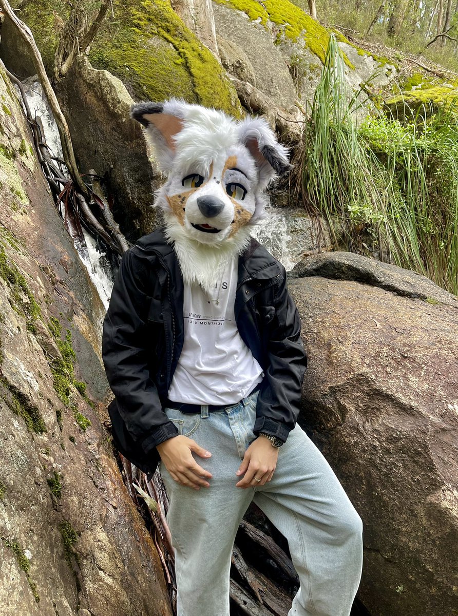 How to find me at Furdu 2026:

✅Feed me wine
✅Invite me to parties
✅Plan a european summer with me

#FursuitFriday #FurDu