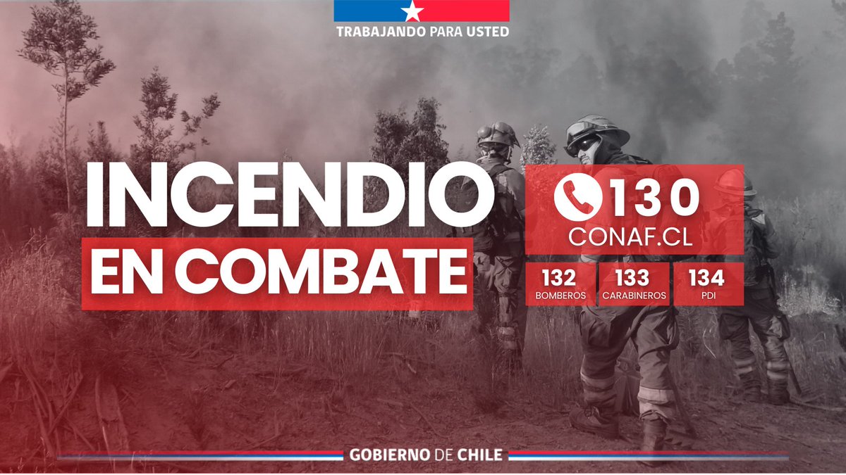 CONAF - Corporación Nacional Forestal tweet media