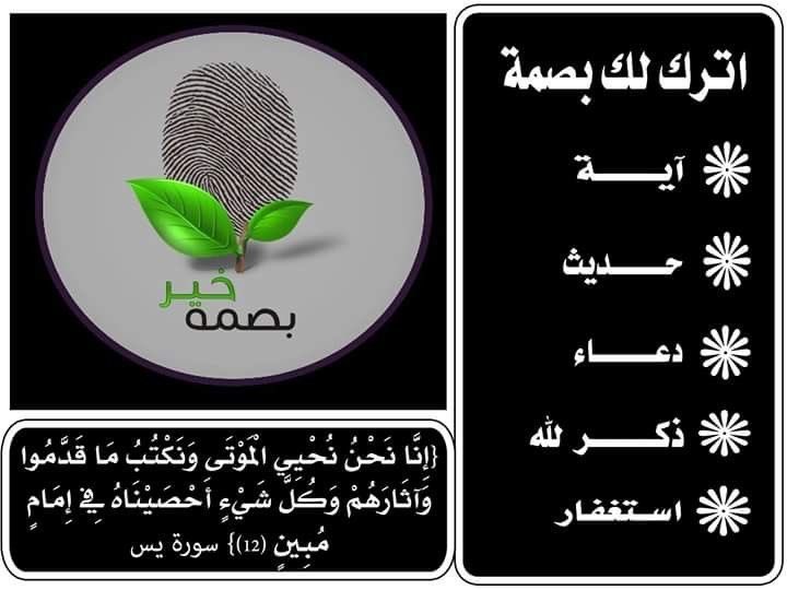 توليب|Tulip🌷 tweet media