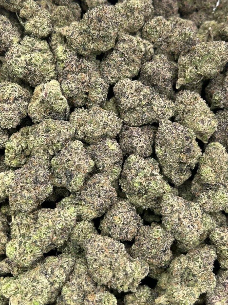 PrimeS63629's tweet photo. Candy Skittlez🍭

$600 p.

@PrimeS63629 https://t.co/JlCwgWbSwx