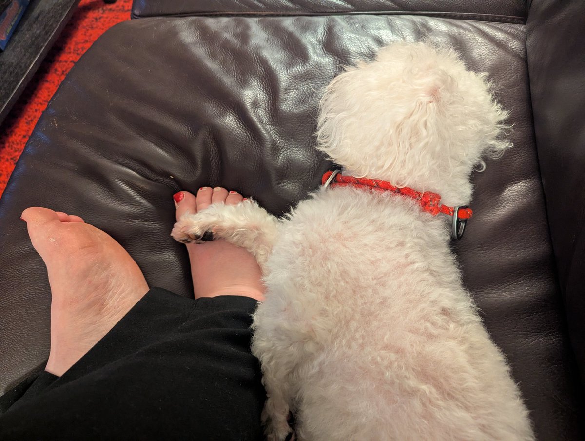 Laura Kathryn tweet media