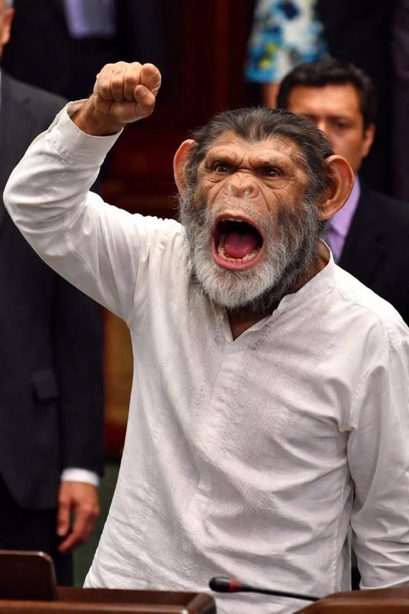 FERMIN GELLIDA G tweet media