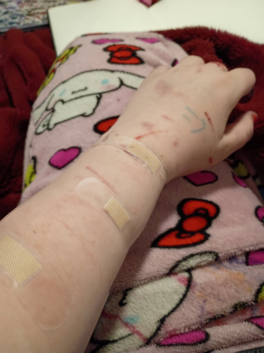 STAR of shedtwt tweet media