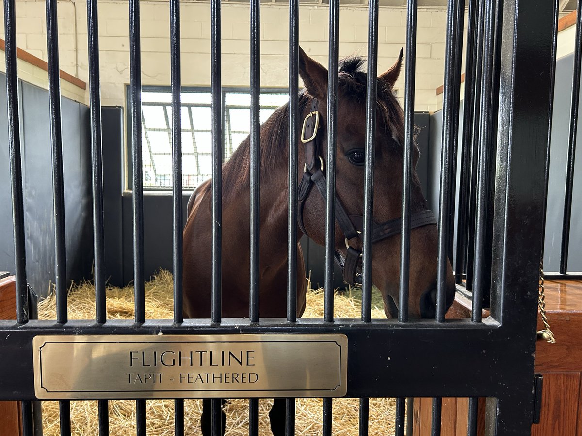 MarK DocK tweet media