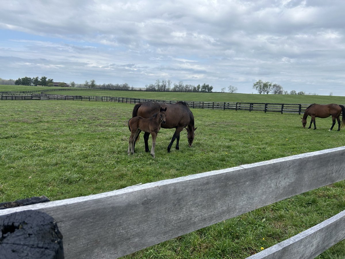 MarK DocK tweet media