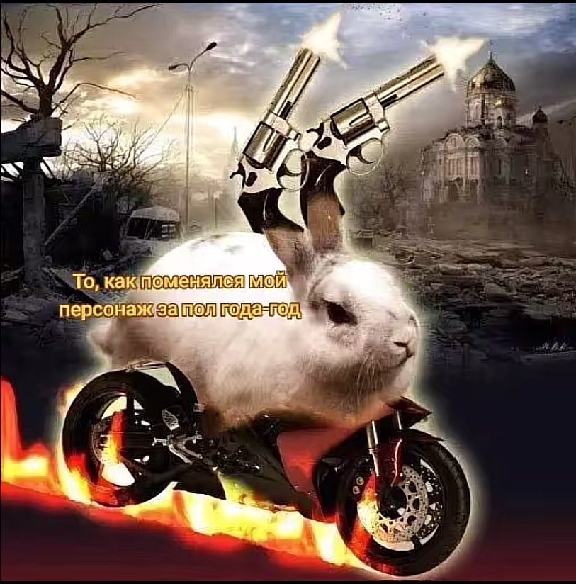 Sect321 🇻🇪/🇪🇸 tweet media