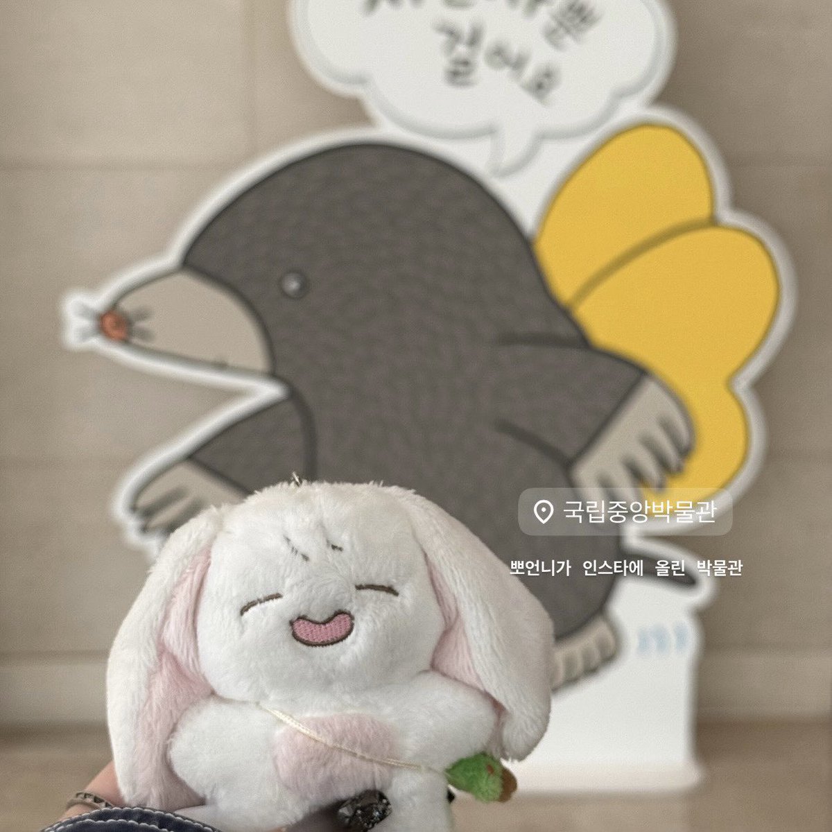 🐰🌳ིྀ tweet media