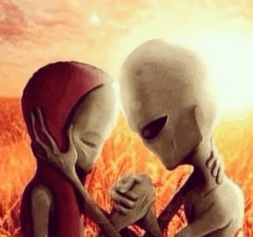 ehehholyshit tweet media