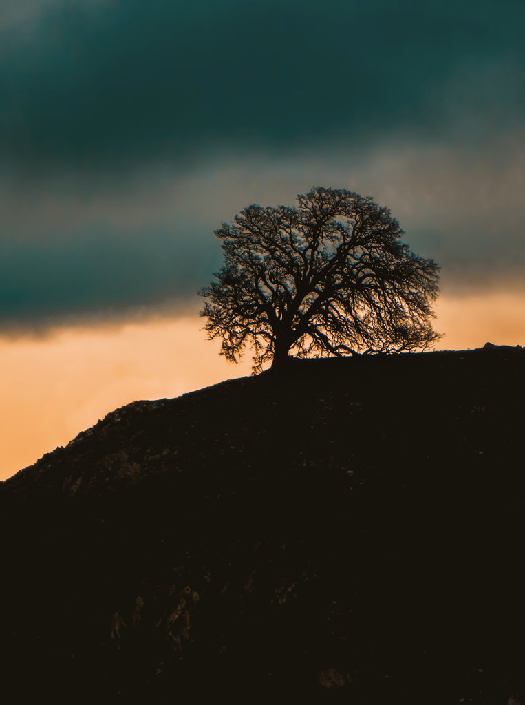 Ken James tweet media