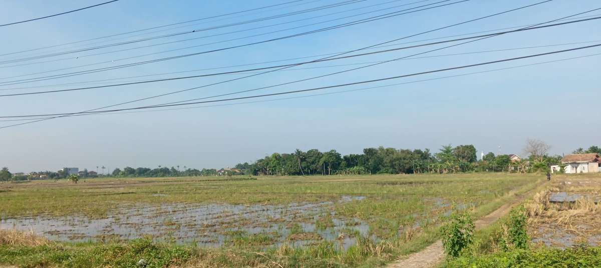 rprtwiee's tweet photo. Jalan pagi hari ini menempuh jalan di rate 2 km saja https://t.co/rkWqMBox3p