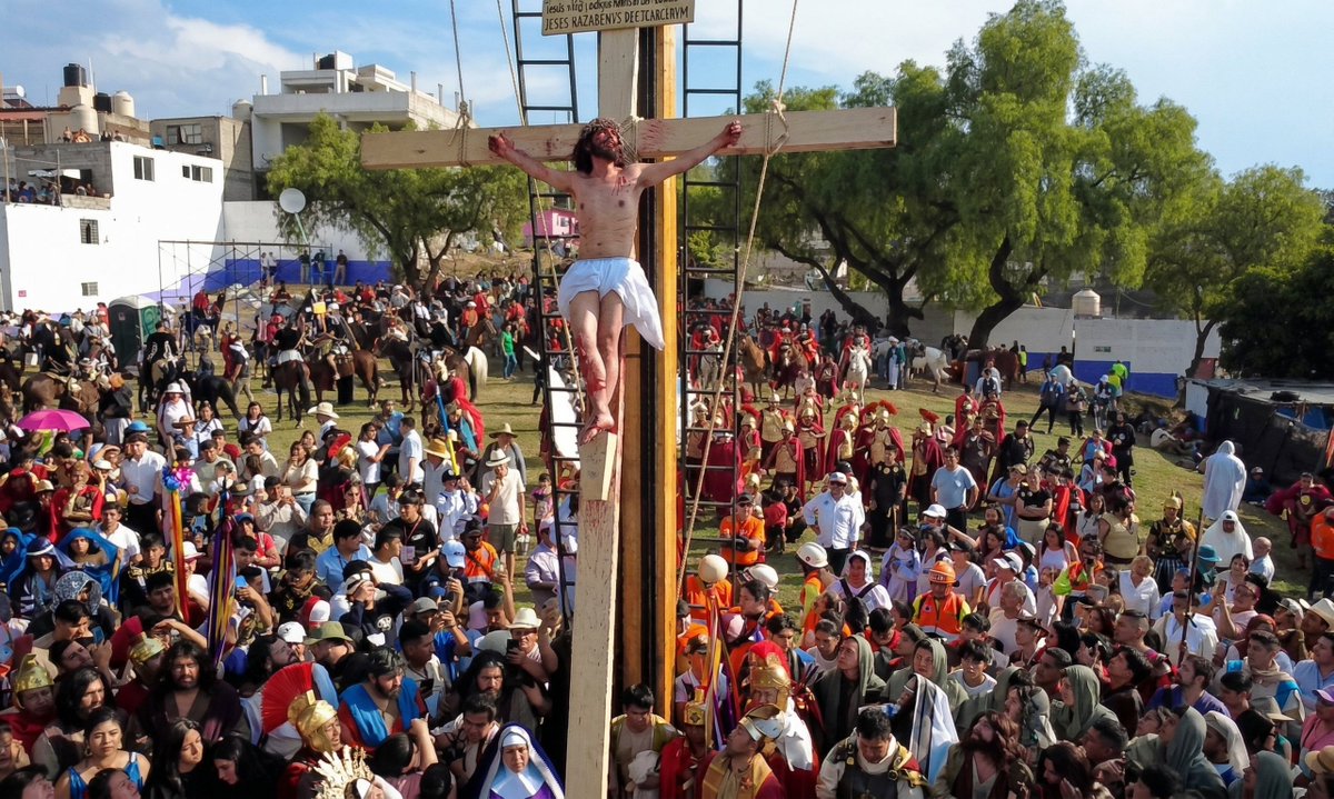 Consejo Ciudadano Mx tweet media