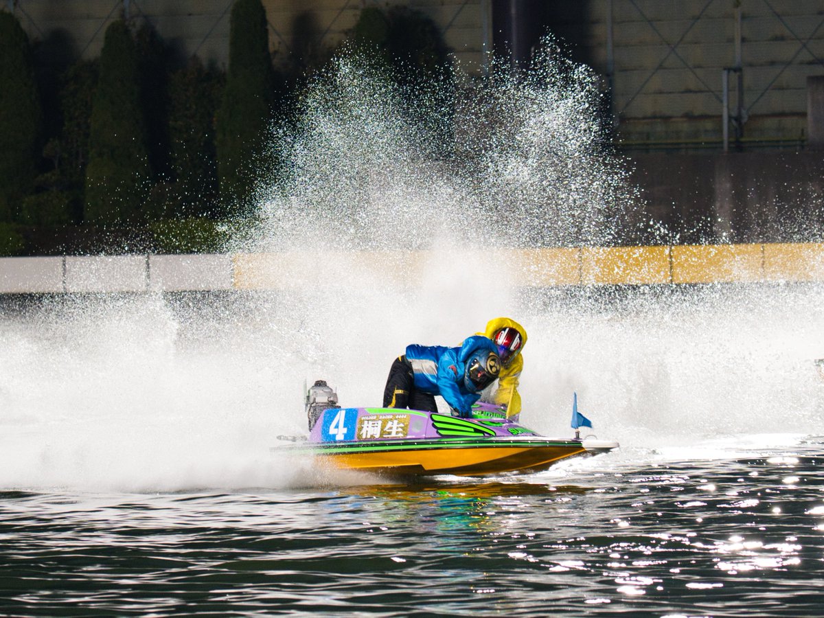 ネコエボリューション tweet media