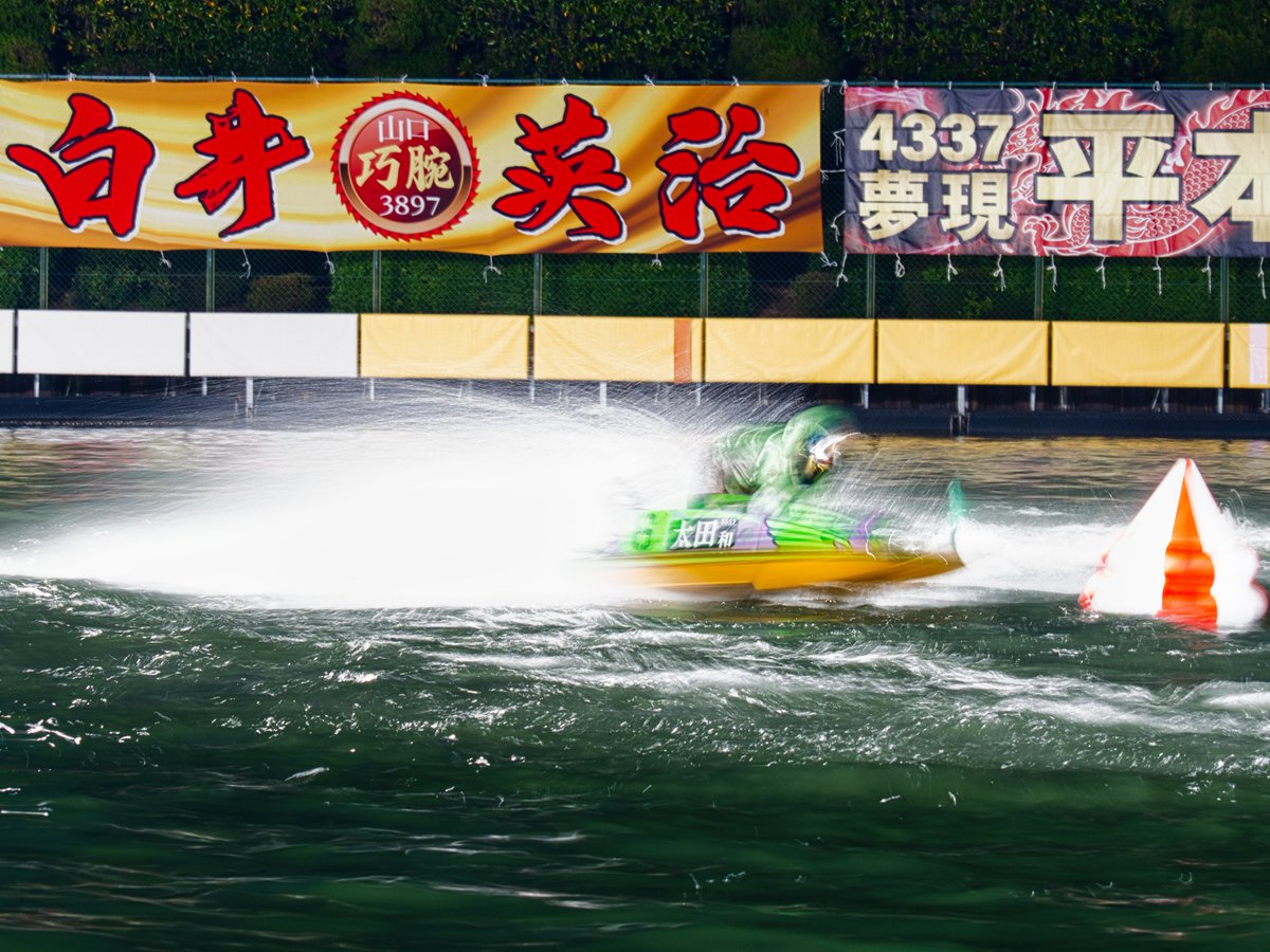 ネコエボリューション tweet media