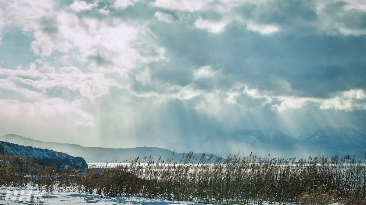 NHKドラマ tweet media