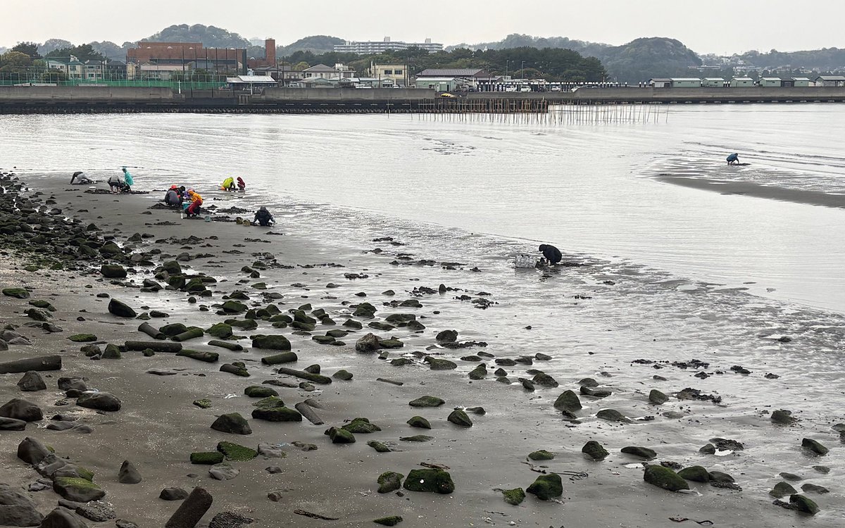 カルクウ tweet media