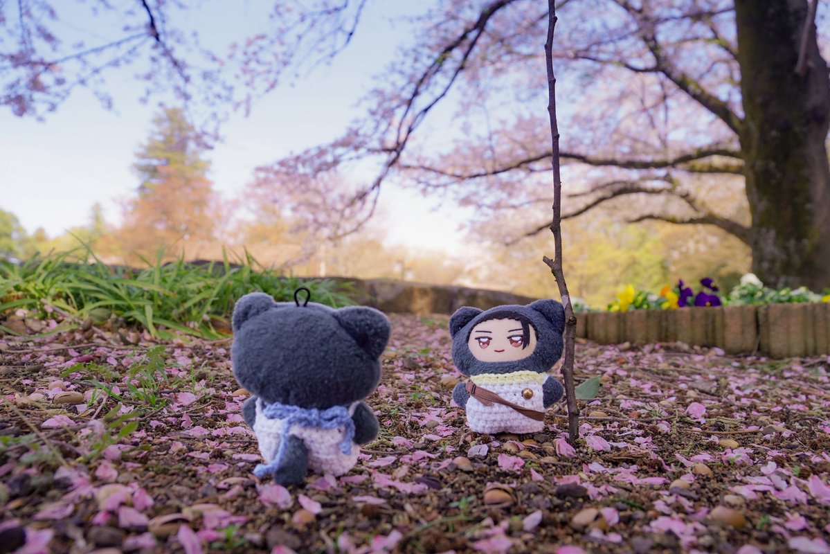 ミノル tweet media