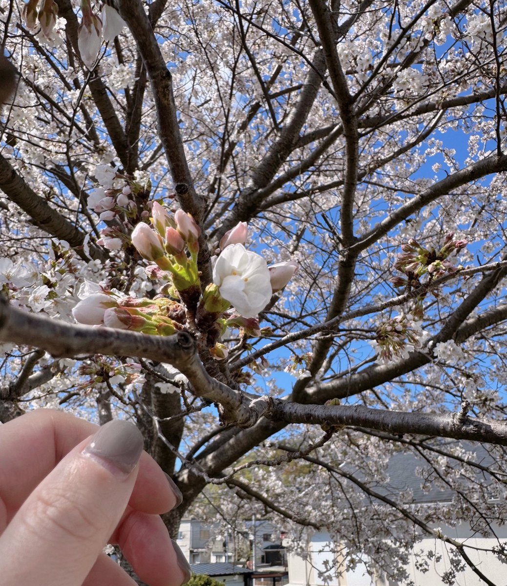 ่ฟทๆขๅตใชใใใ๐ง tweet media