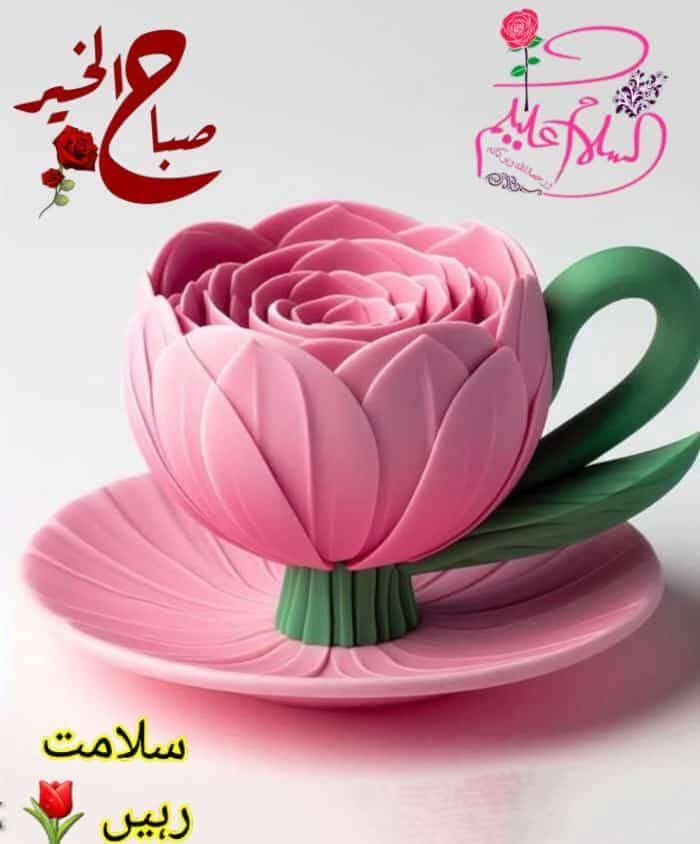 امان اللہAman ullah tweet media