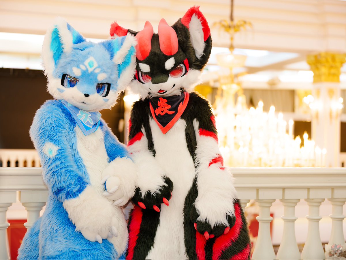 黑小焱 tweet media