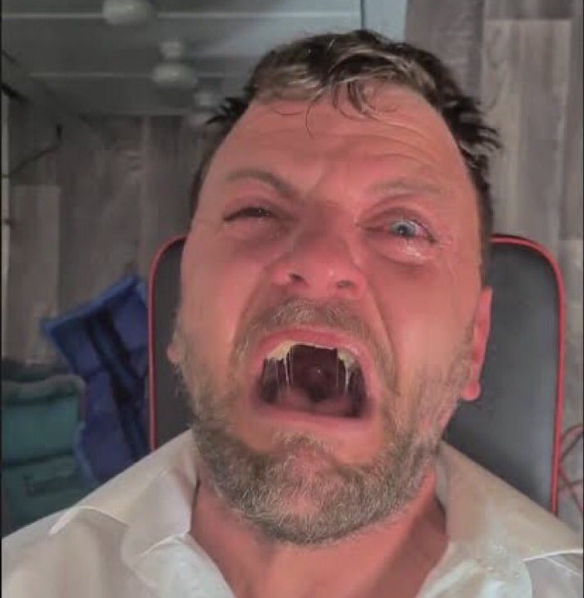 Maga Annoyer/Destroyer tweet media