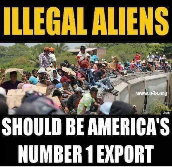 Terry Marta tweet media