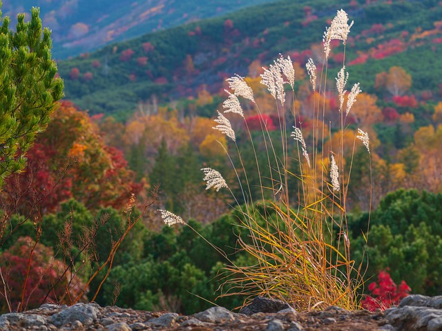 James Ede tweet media