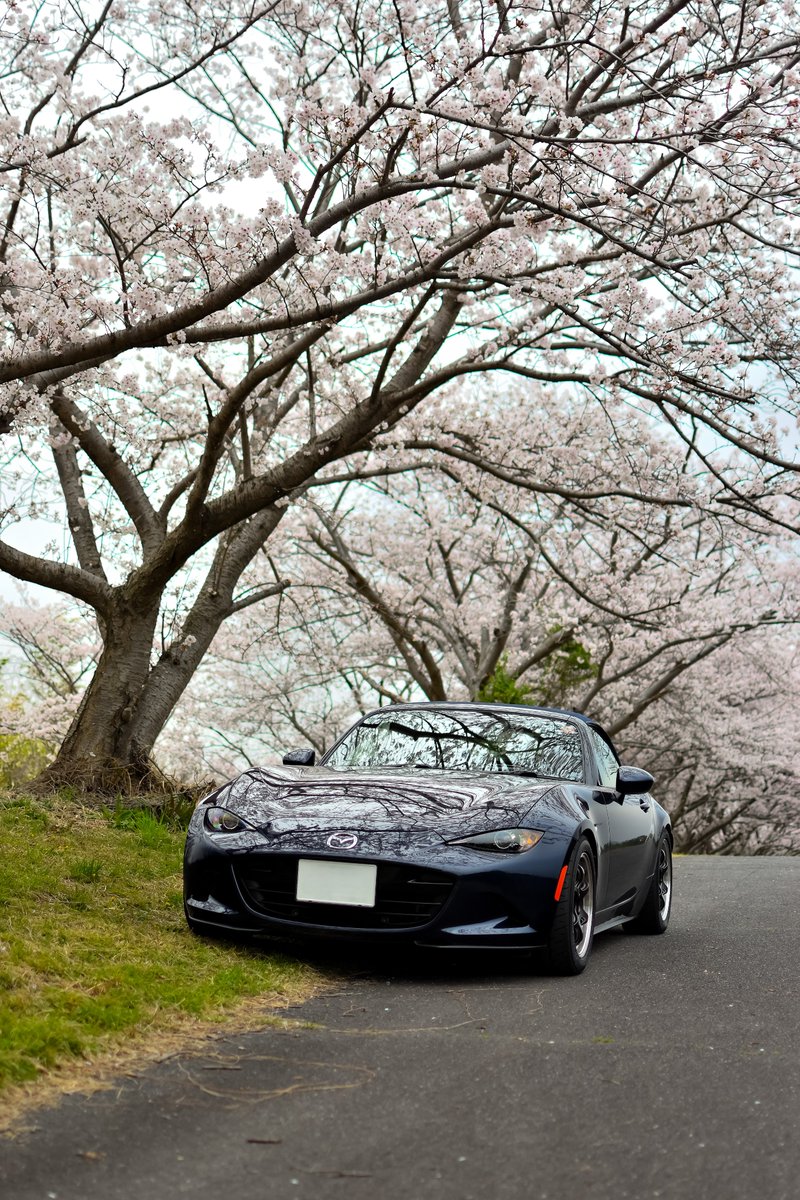 ichigti@masamune tweet media