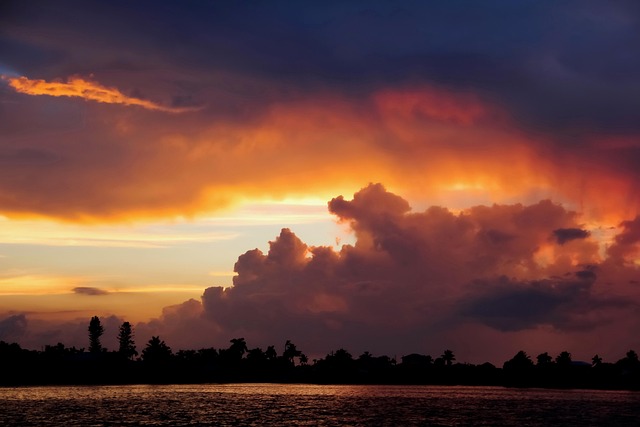 Dominique Babcock tweet media