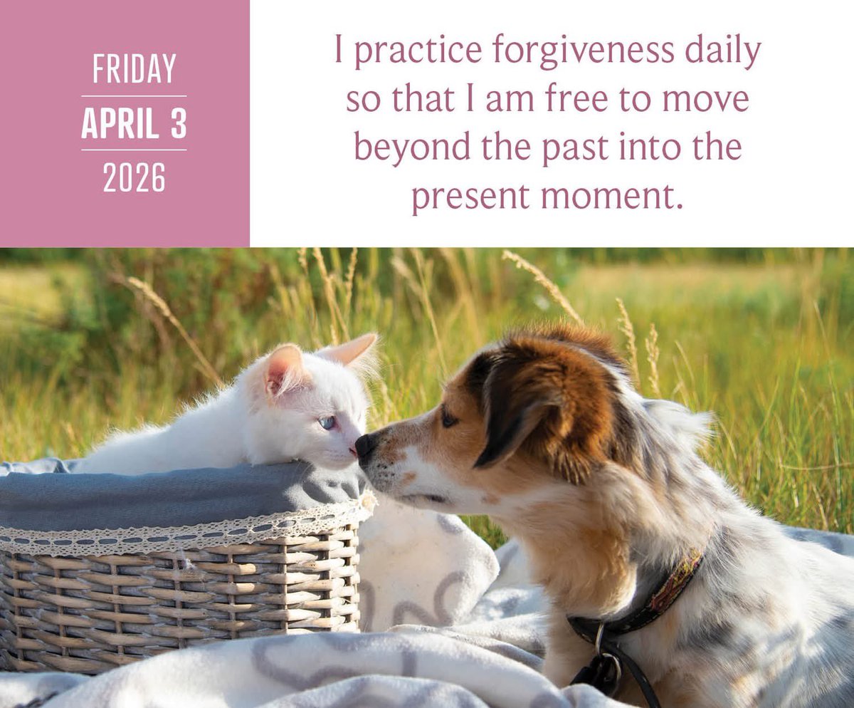 Ami Valladares  🧙‍♂️ tweet media