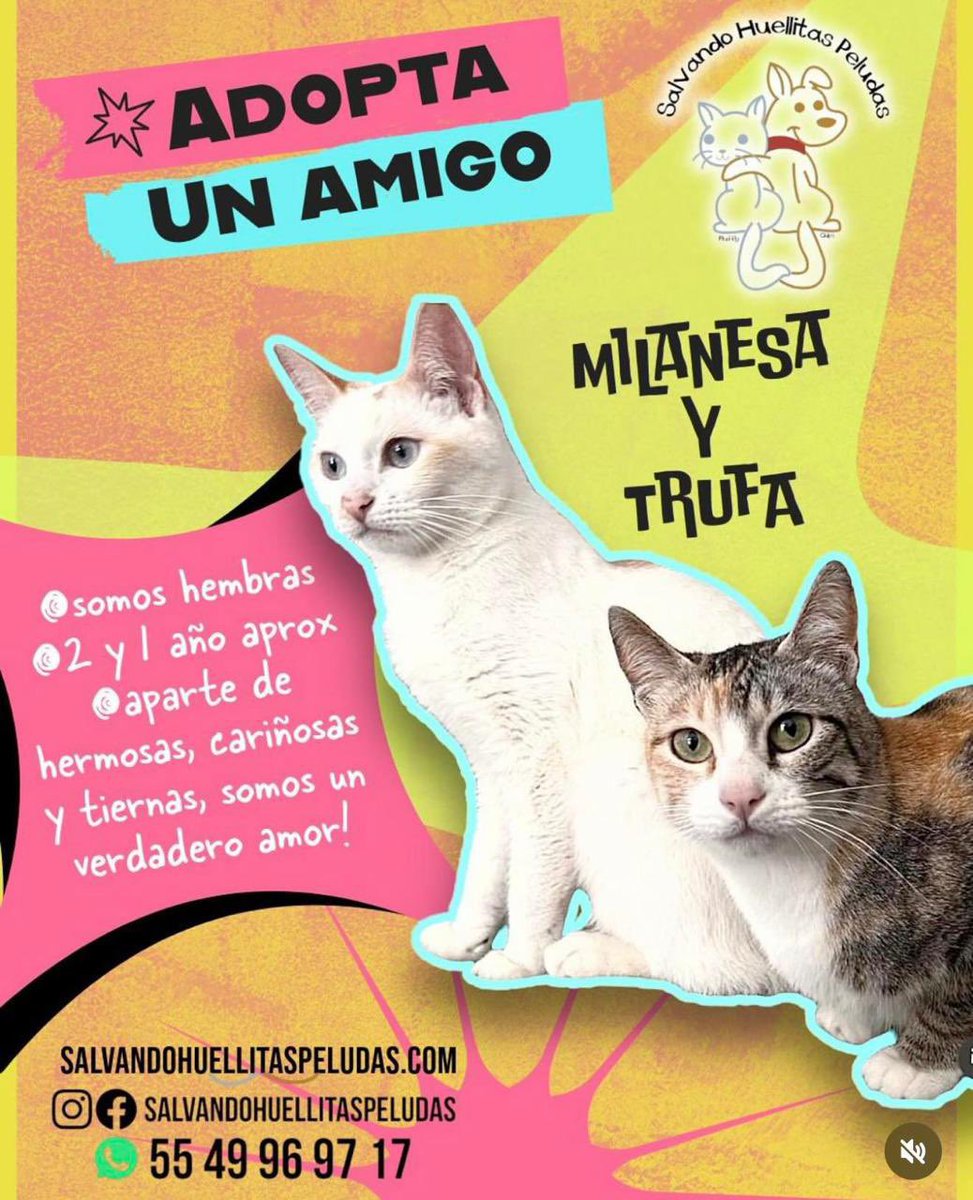 Farándula 021 tweet media