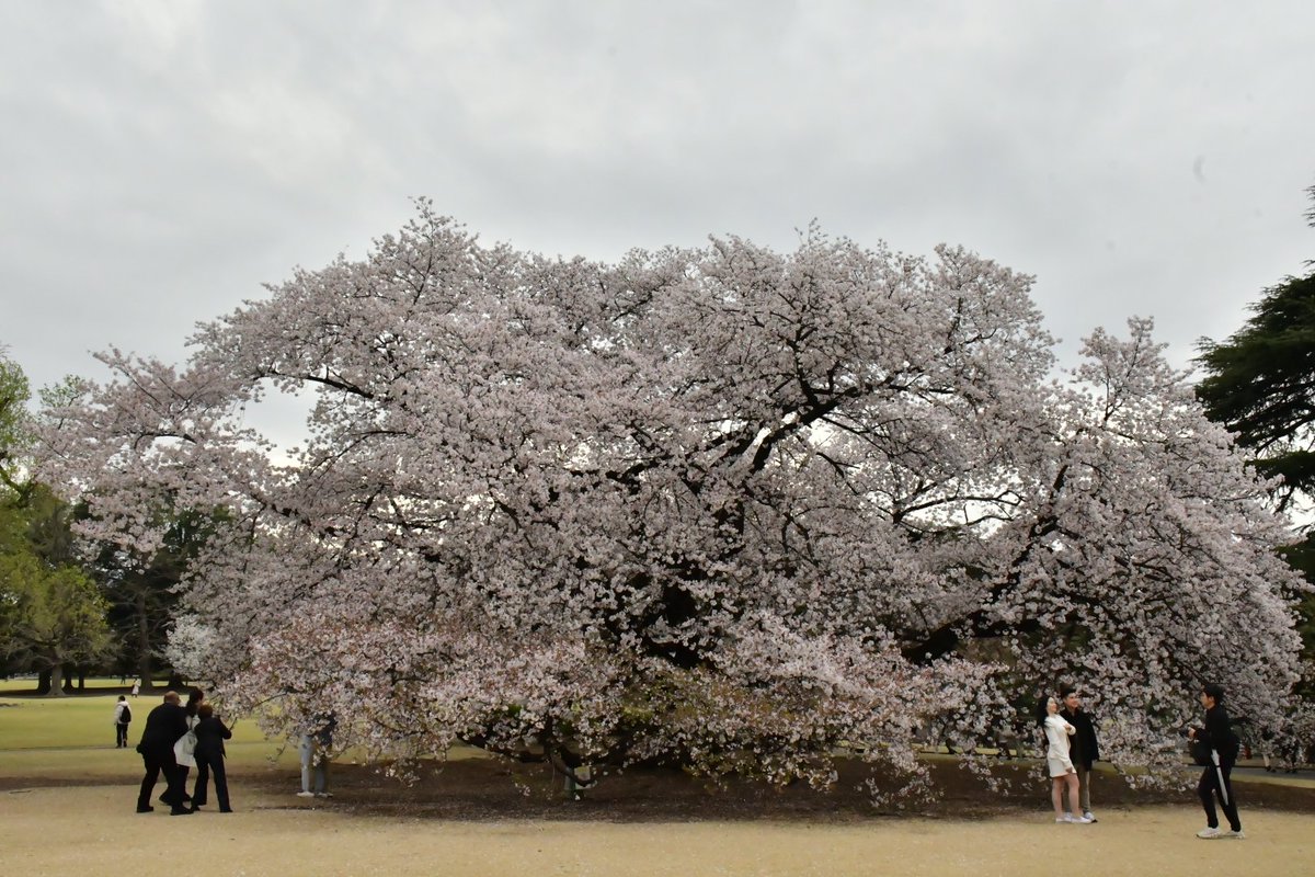 Mr.みっち～。#Antelopes way. #Next FAZE #日本一丸 tweet media