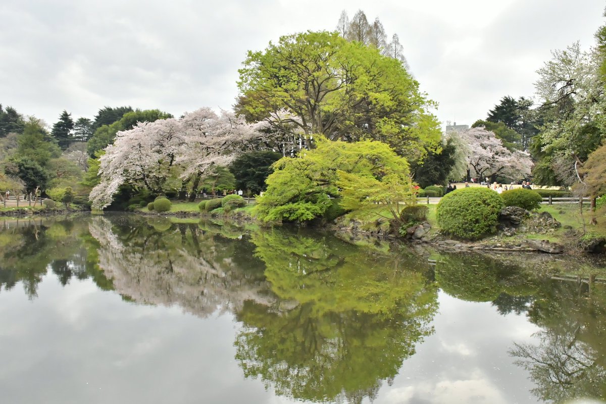 Mr.みっち～。#Antelopes way. #Next FAZE #日本一丸 tweet media