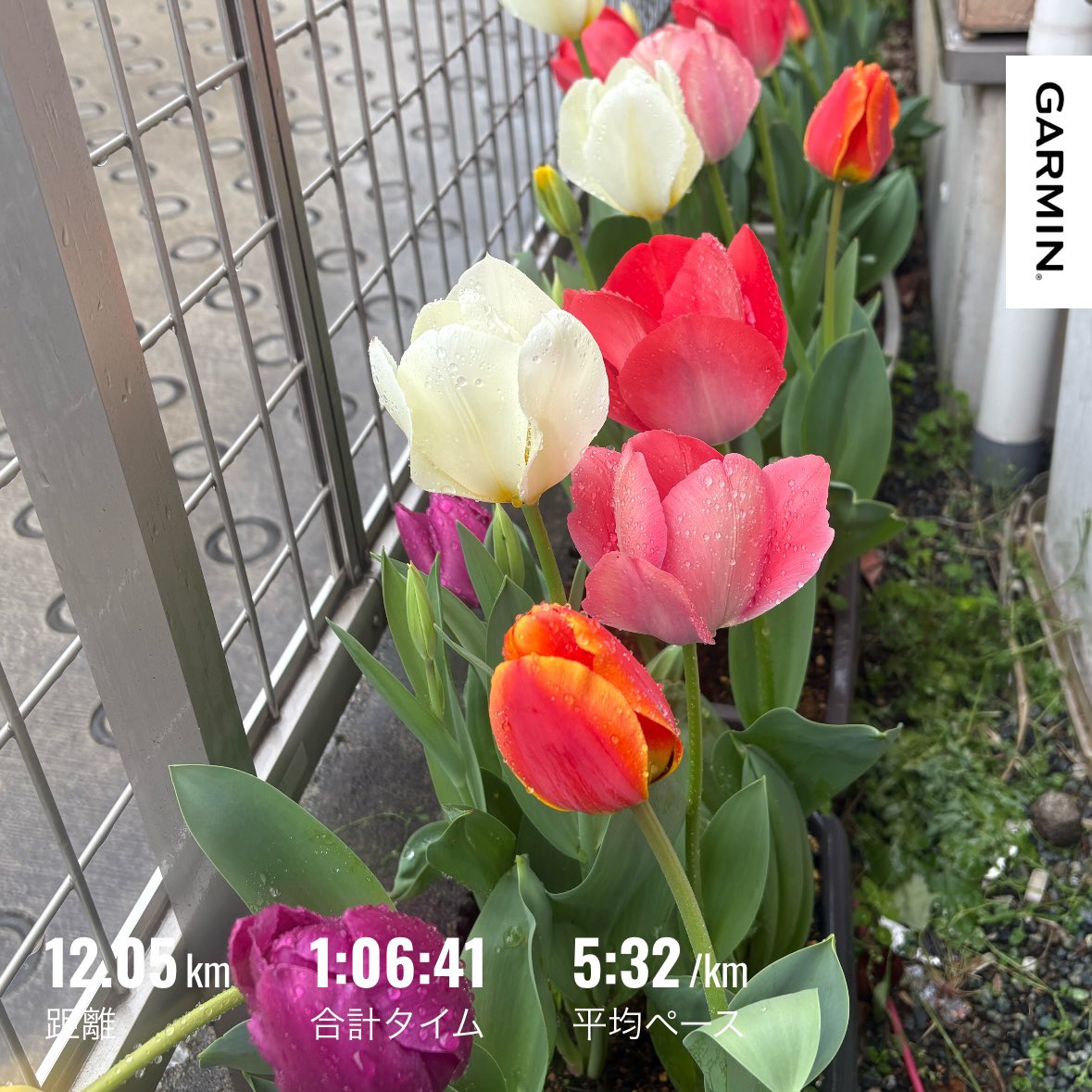 スナフキン tweet media