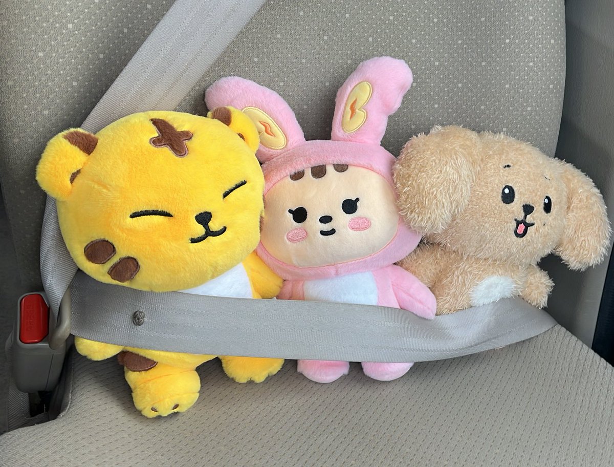 𝐴𝑚𝑖 tweet media