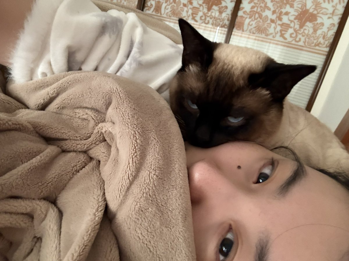 Aaa建材王哥 tweet media