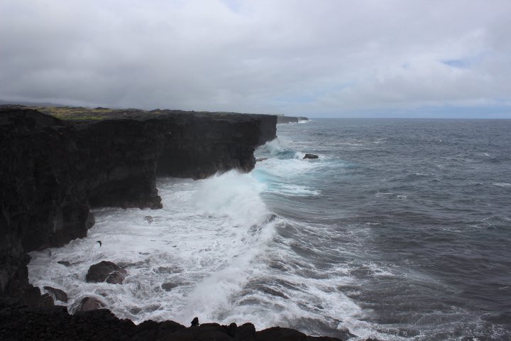 しょう tweet media