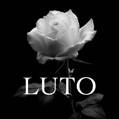 lara do boxd tweet media