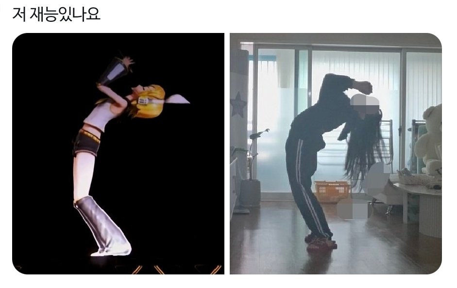 スーちゃん tweet media