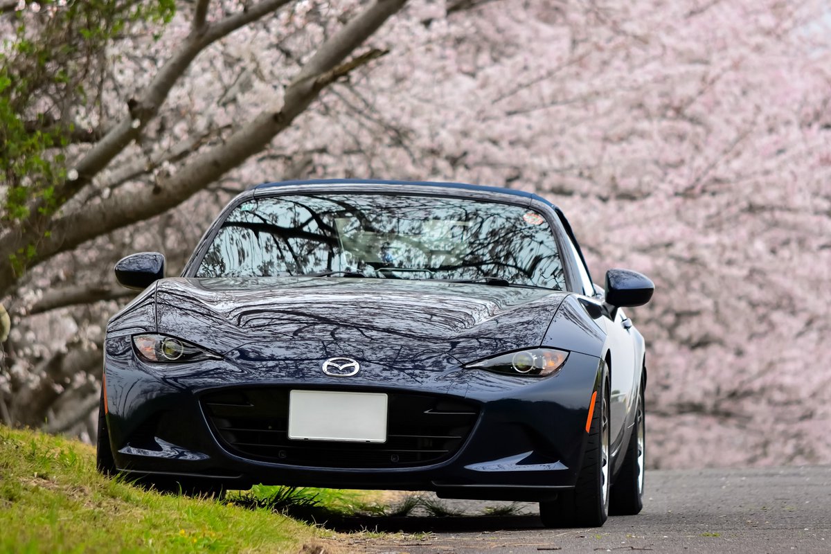 ichigti@masamune tweet media