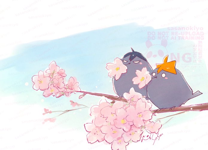 笹（ささ） tweet media