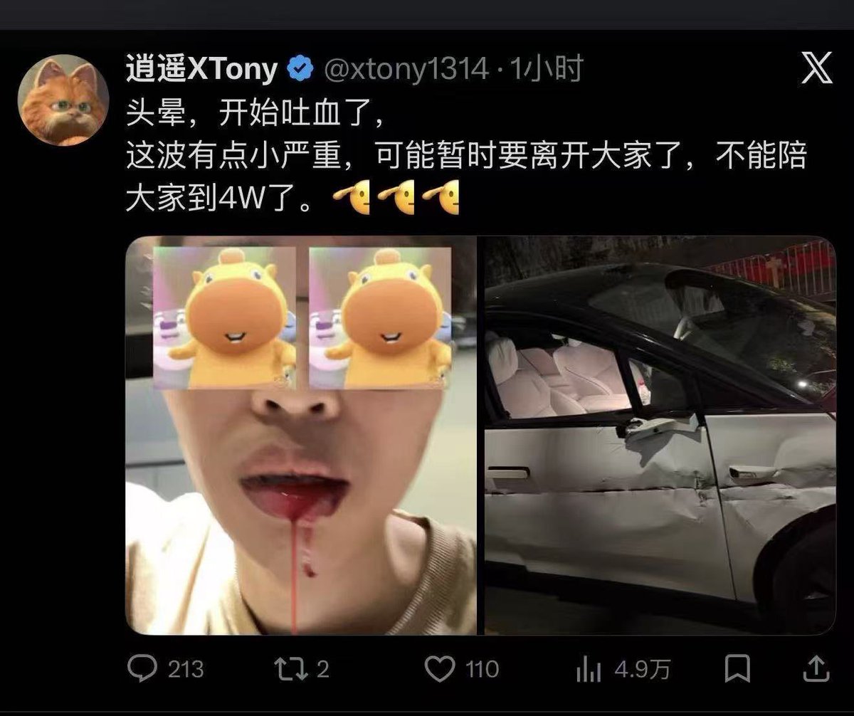 非常快6号机 tweet media