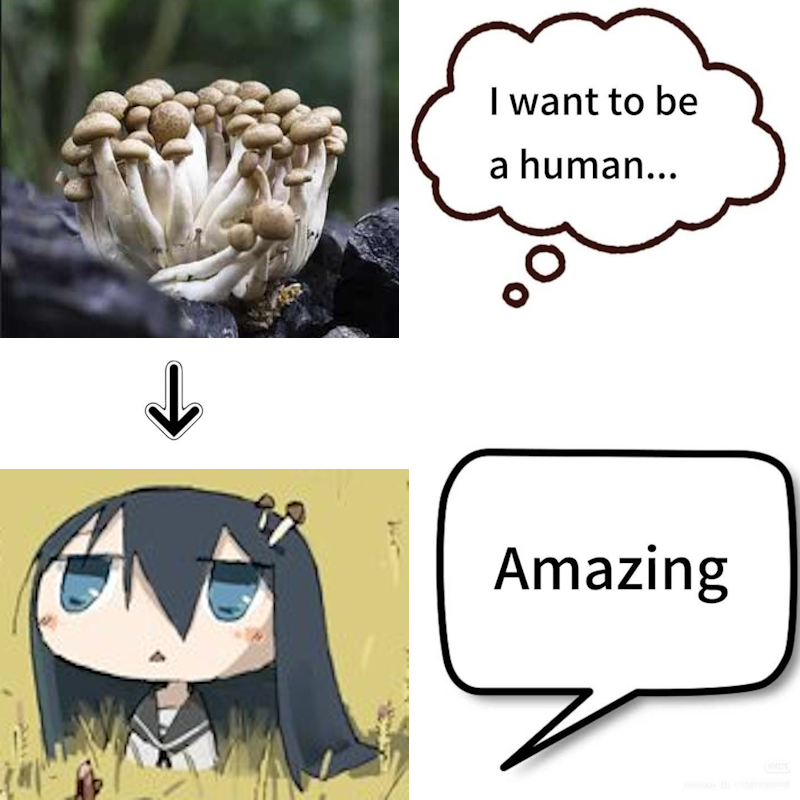 hajime 🐟🦐🐌🐇🔮🦗🦭🥖🎀 tweet media