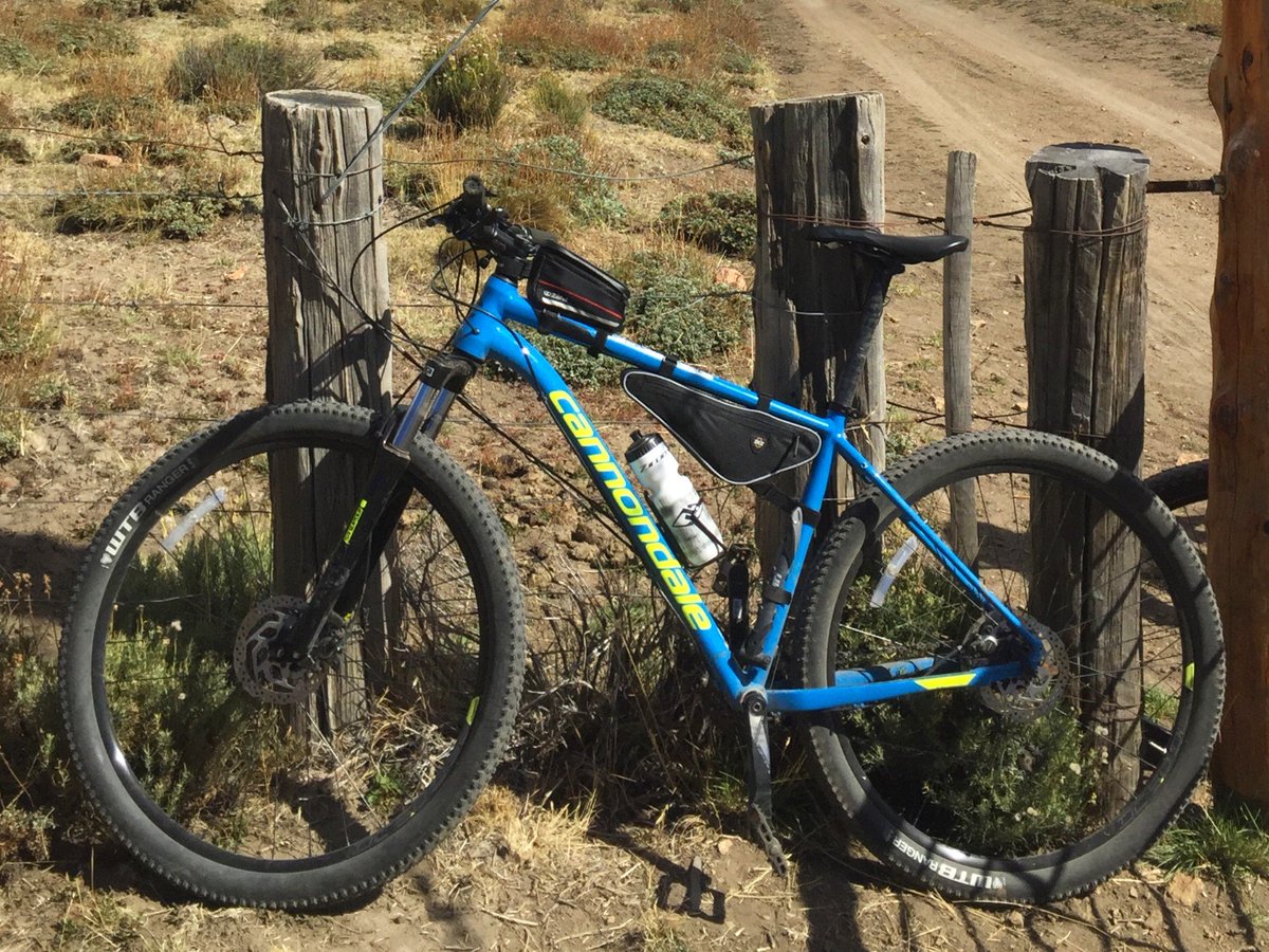 andrehiniopernambucano tweet media