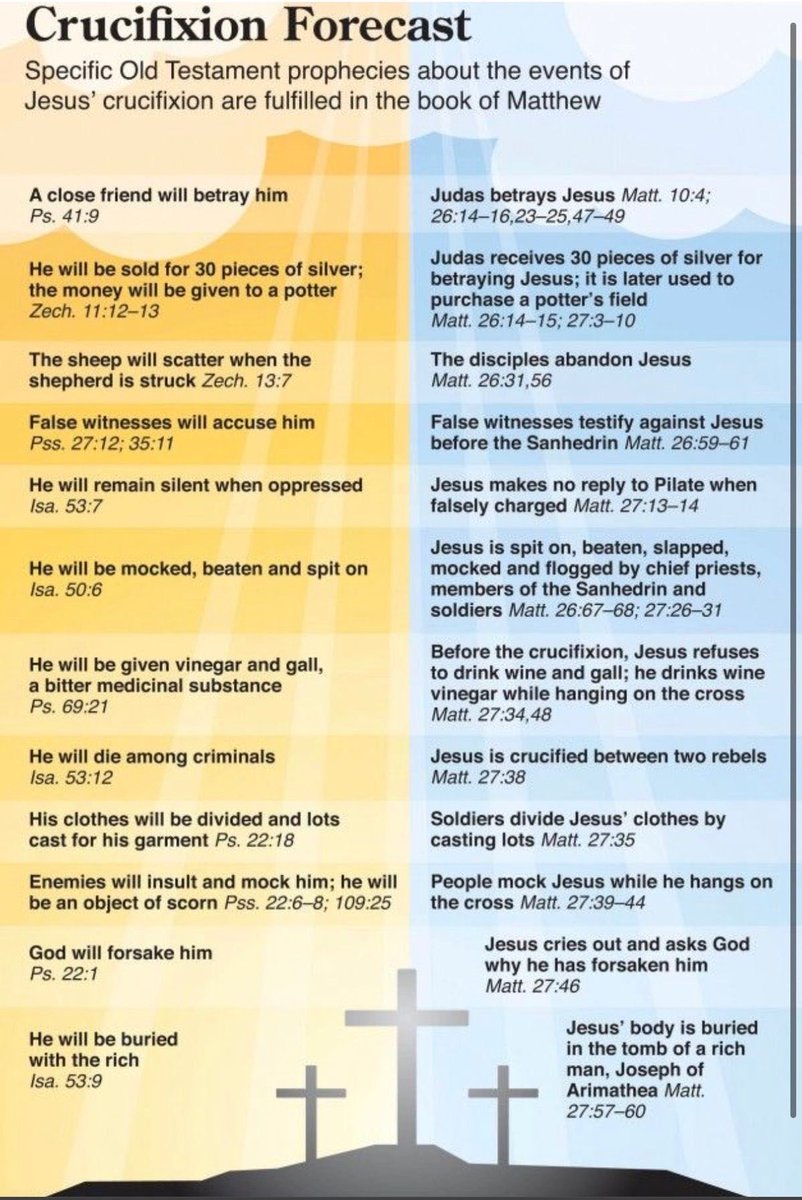 Josh Barzon tweet media