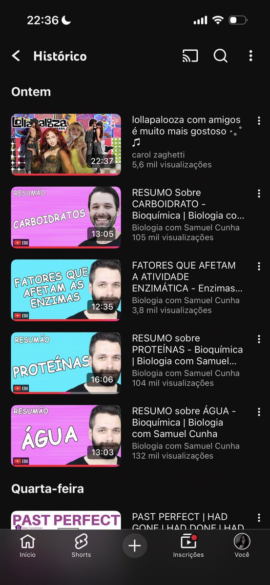 mari 🦕 tweet media