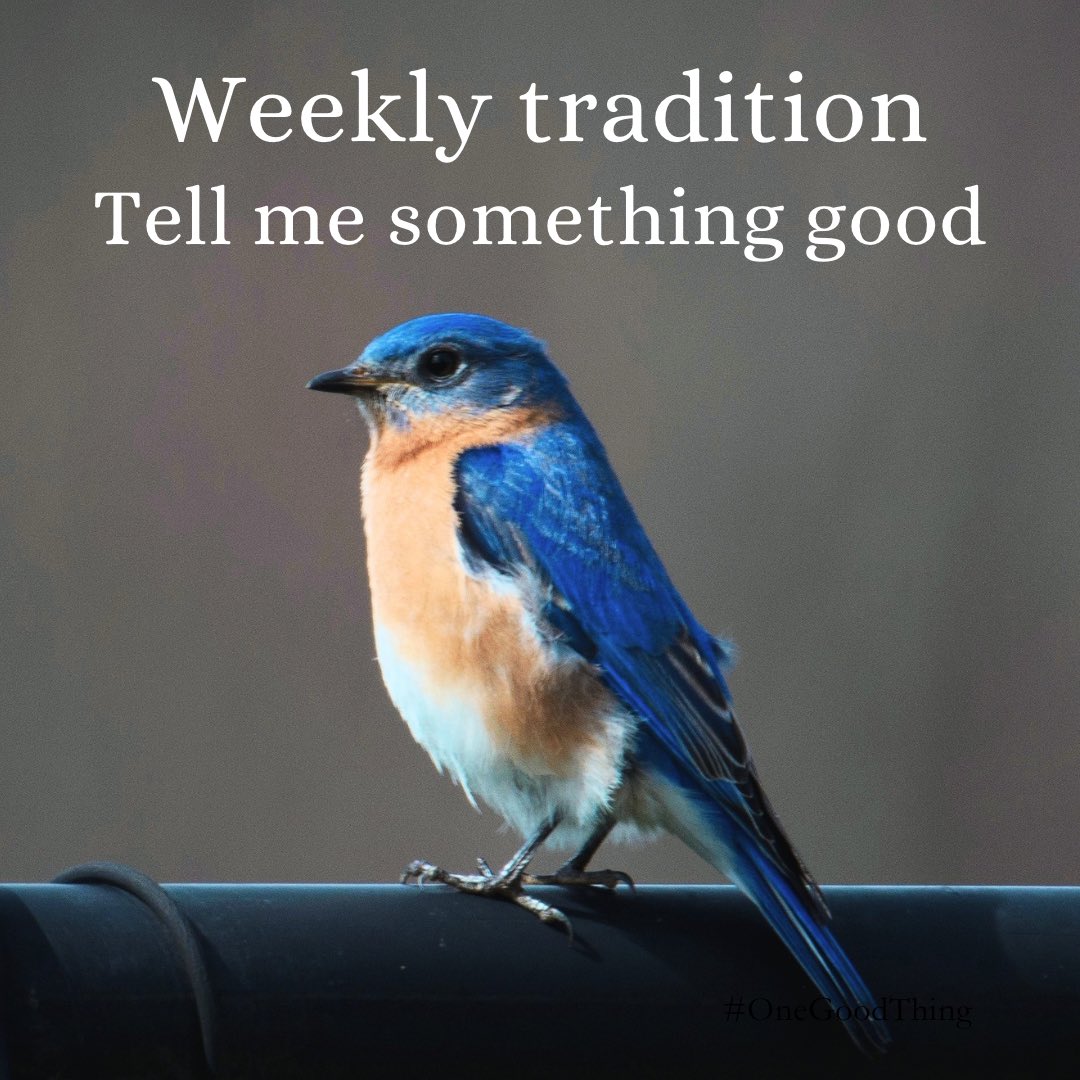 The Hoarse Whisperer tweet media